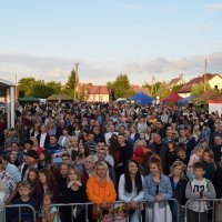 Zobacz w powiększeniu: Dożynki Powiatowe Baranów 2021 (44)